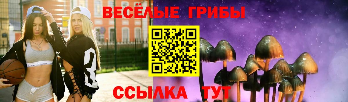 Галлюциногенные грибы мухоморы  Псилоцибиновые грибы мицелий  Вход с VPN  Королёв 